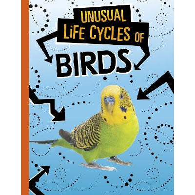 Unusual Life Cycles of Birds-Books-Raintree-Yes Bebe