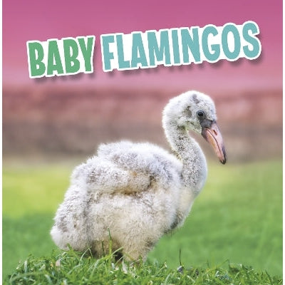 Baby Flamingos-Books-Raintree-Yes Bebe