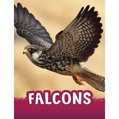 Falcons-Books-Raintree-Yes Bebe