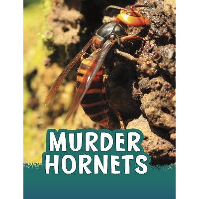 Murder Hornets-Books-Raintree-Yes Bebe