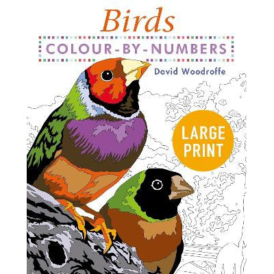 Large Print Colour by Numbers Birds: Easy-to-Read-Books-Arcturus Publishing Ltd-Yes Bebe