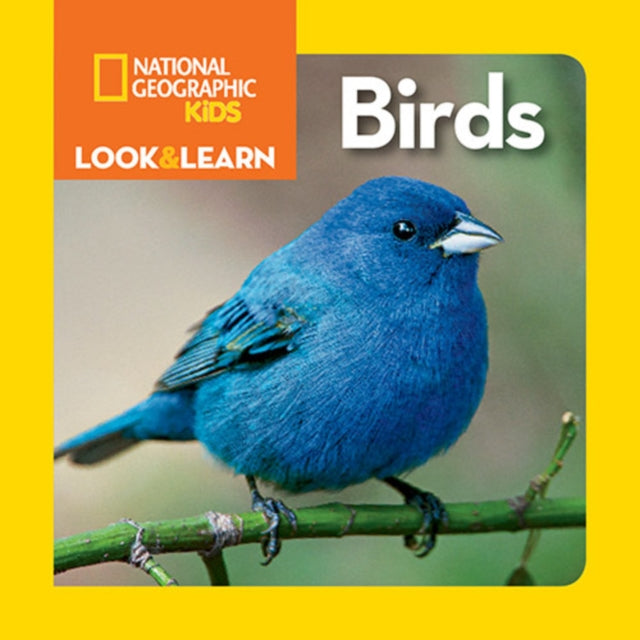 National Geographic: Look And Learn - Birds-Books-National Geographic Kids-Yes Bebe