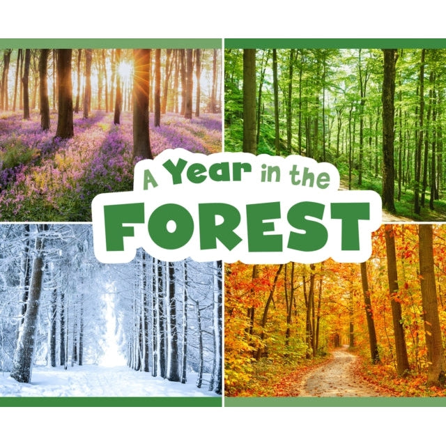 A Year In The Forest (Season To Season)-Books-Raintree-Yes Bebe
