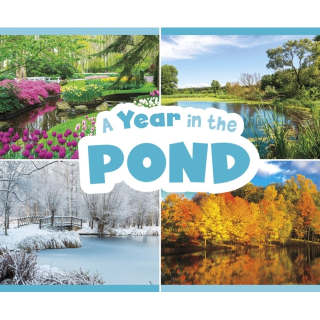 A Year In The Pond (Season To Season)-Books-Raintree-Yes Bebe