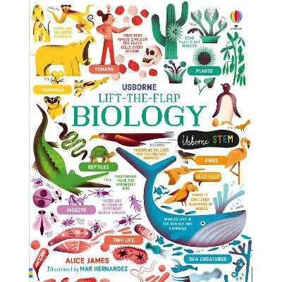 Lift-the-Flap Biology-Books-Usborne Publishing Ltd-Yes Bebe
