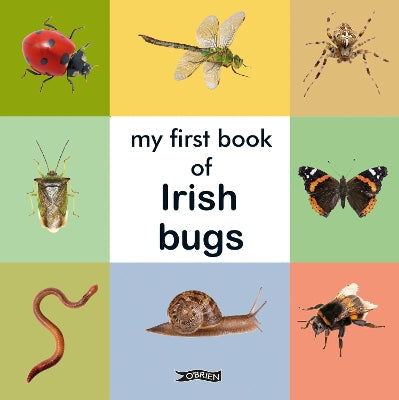 My First Book of Irish Bugs-Books-Brandon-Yes Bebe