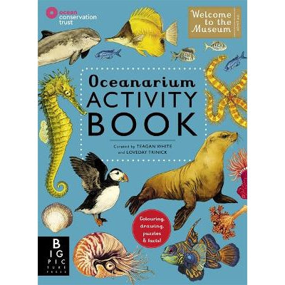 Oceanarium Activity-Books-Big Picture Press-Yes Bebe