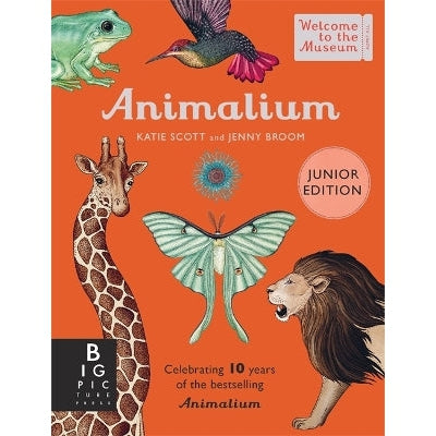 Animalium (Junior Edition)-Books-Big Picture Press-Yes Bebe
