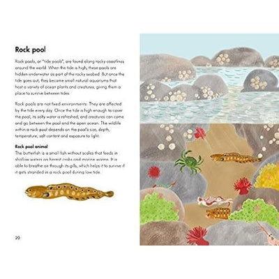 A Ladybird Book: Animal Habitats