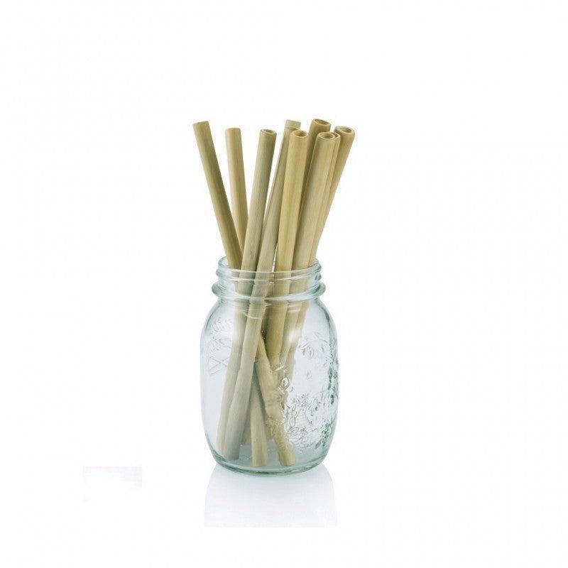 Bambu Bamboo Straws - Set of 6