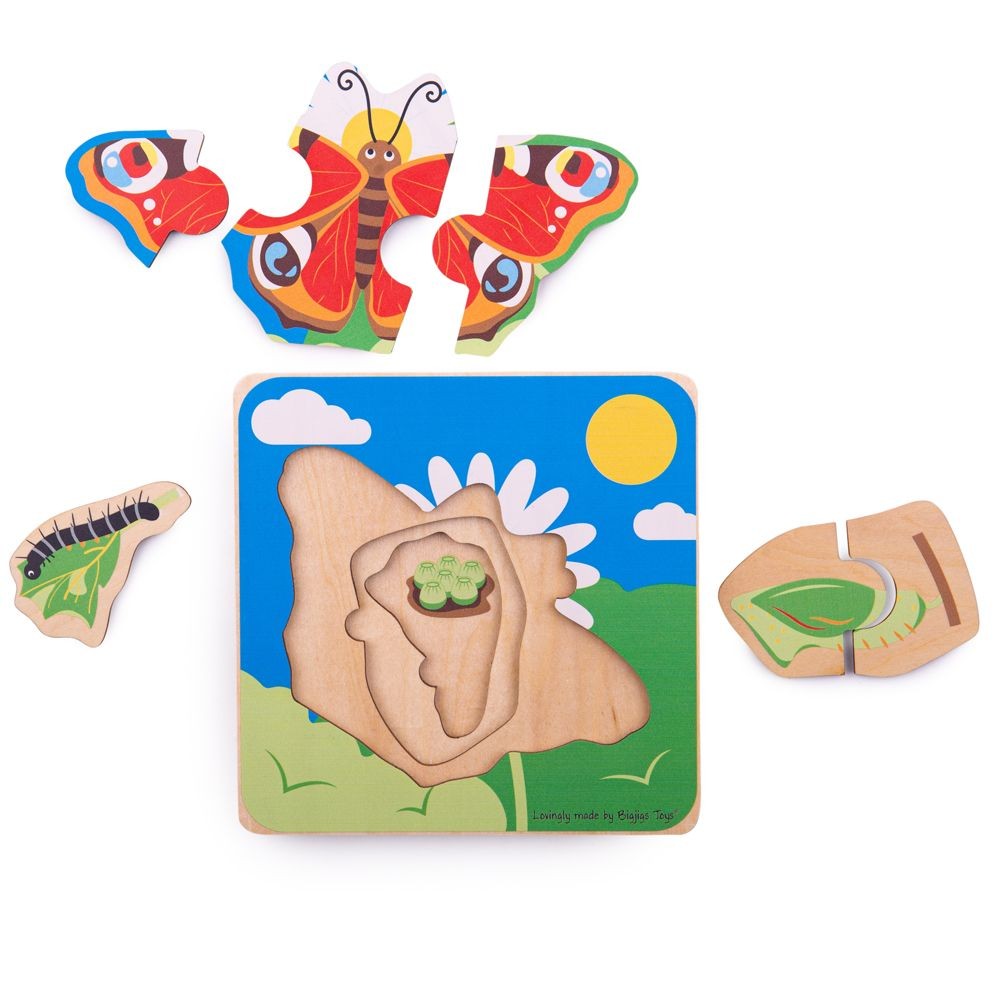BigJigs Lifecycle Puzzle - Butterfly