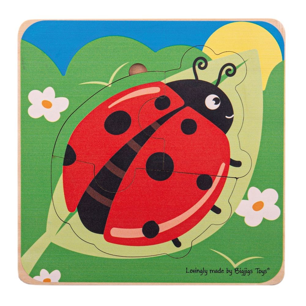 BigJigs Lifecycle Puzzle - Ladybird