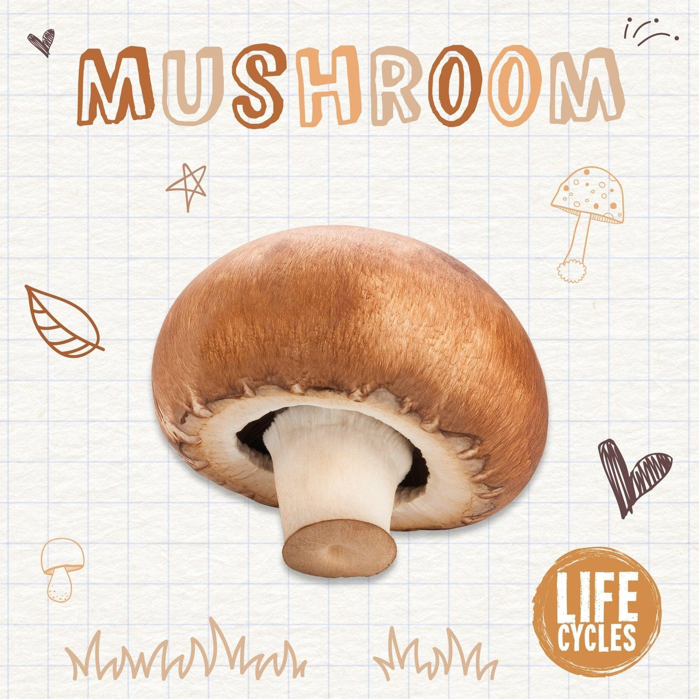 Mushroom - Kirsty Holmes
