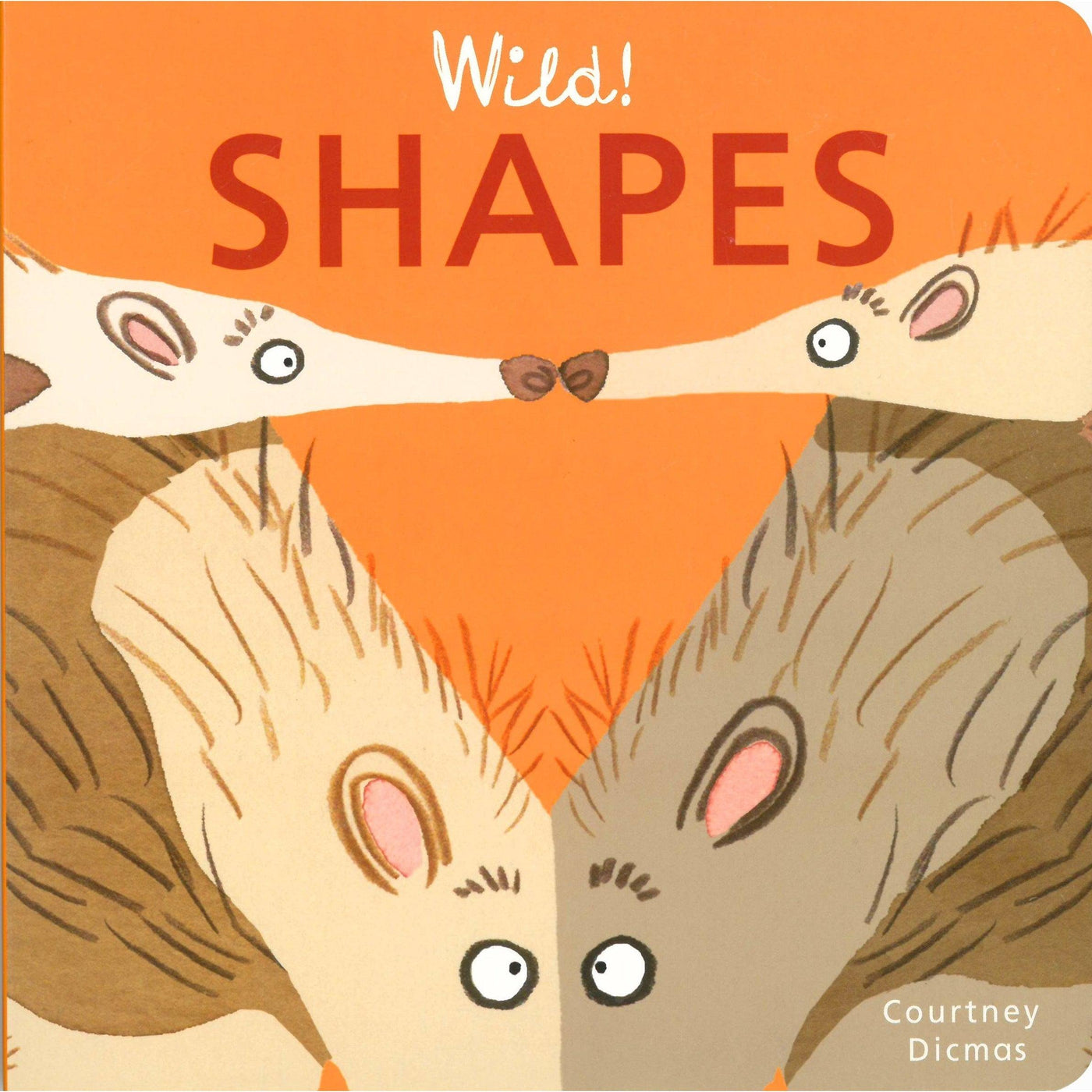 Shapes (Wild! Concepts) - Courtney Dicmas