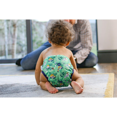 Close Pop-in Single Printed Reusable Popper Nappy - Round The Garden