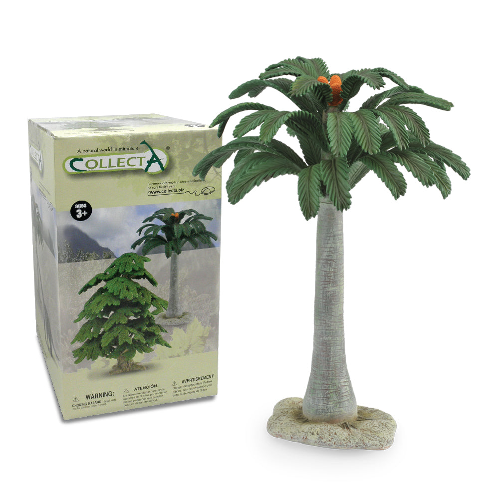 12" Cycad Tree - Tree & Plant Collection
