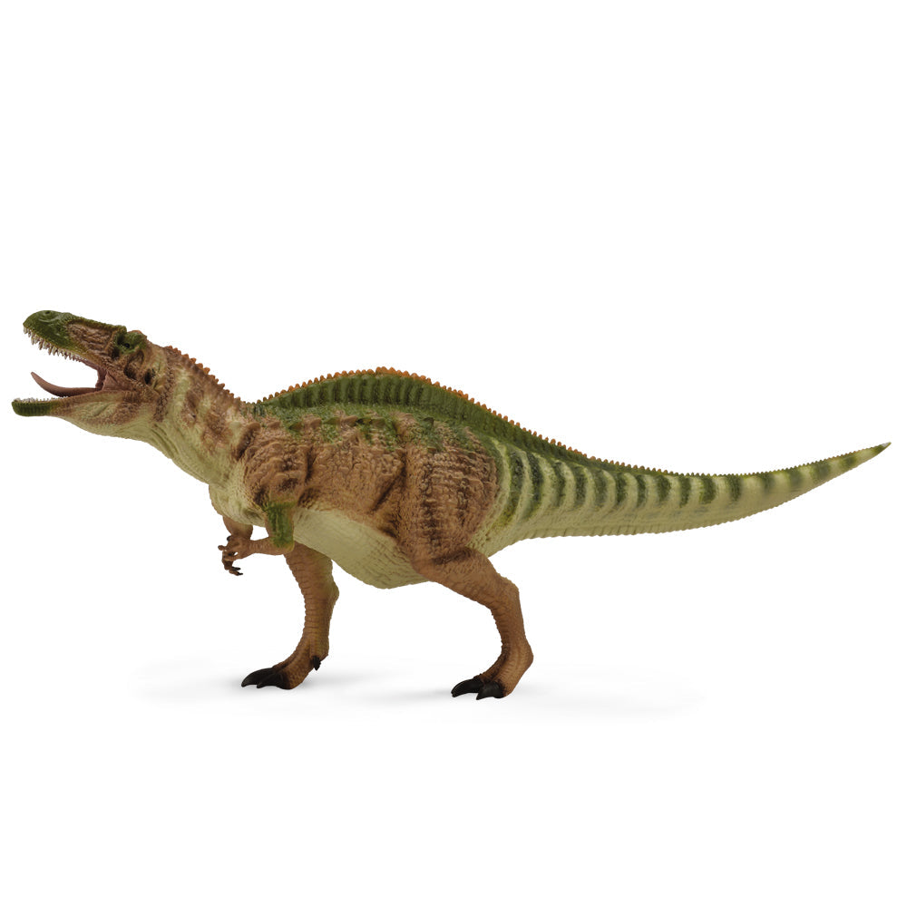 Acrocanthosaurus Dinosaur Toy With Movable Jaw