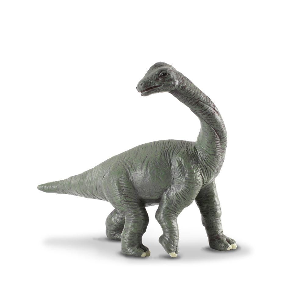 Brachiosaurus Baby - Hand-Painted Animal Figure