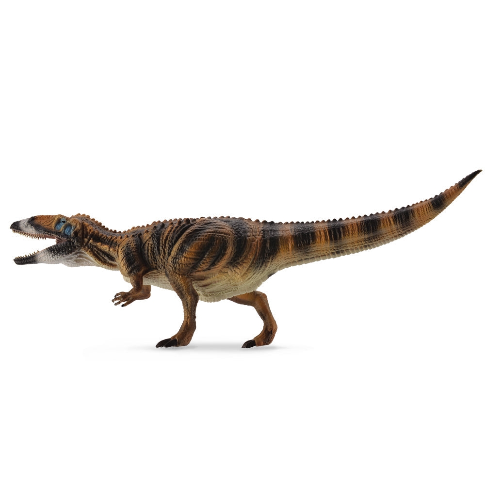 Carcharodontosaurus Dinosaur Toy