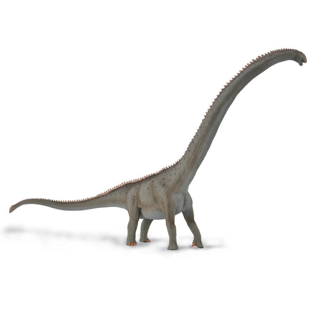 Mamenchisaurus Dinosaur Toy