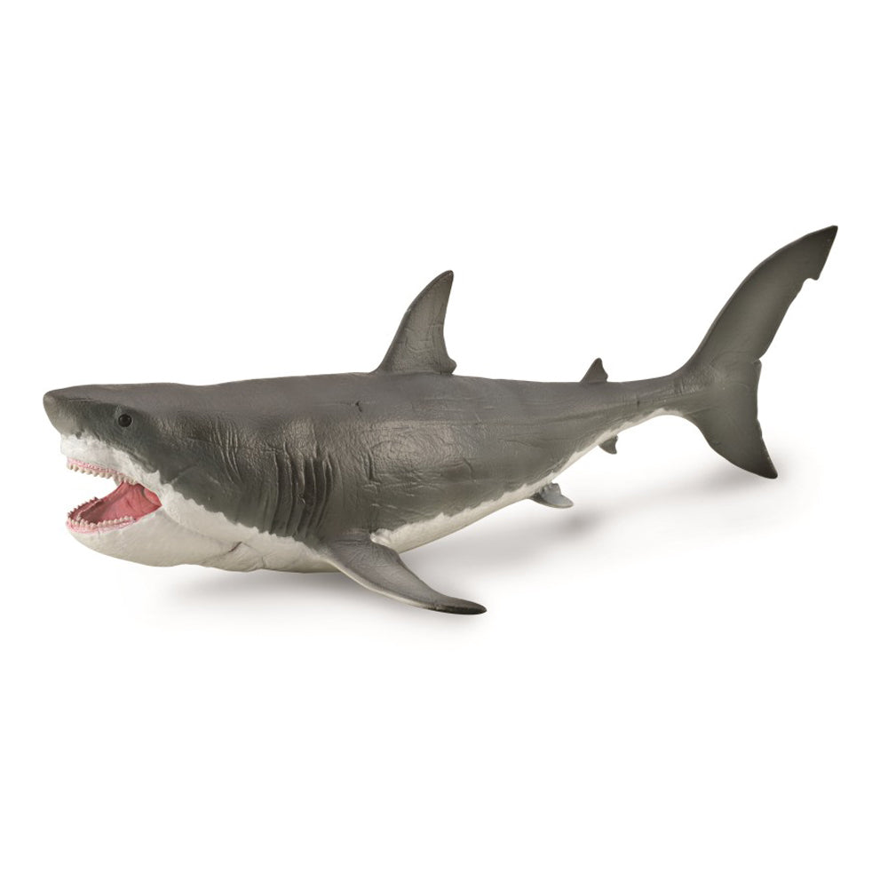 Megalodon Dinosaur With Movable Jaw