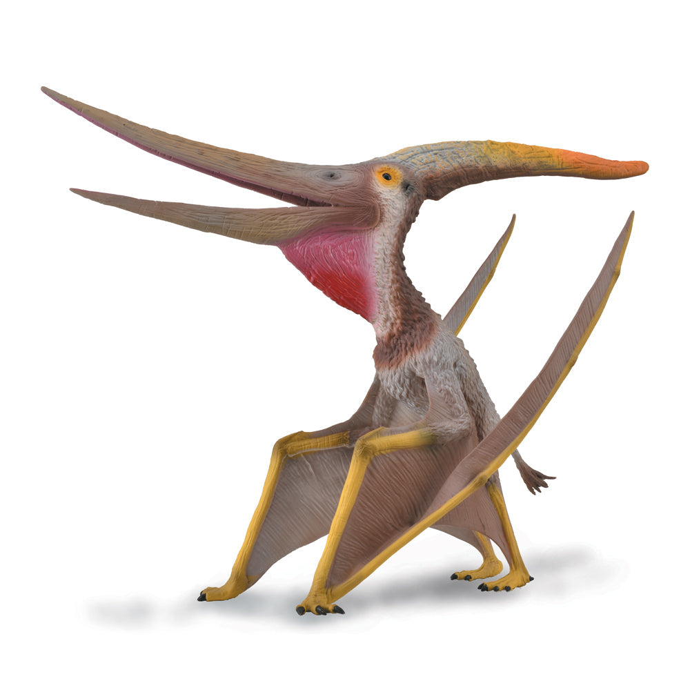 Pteranodon Dinosaur Toy With Movable Jaw