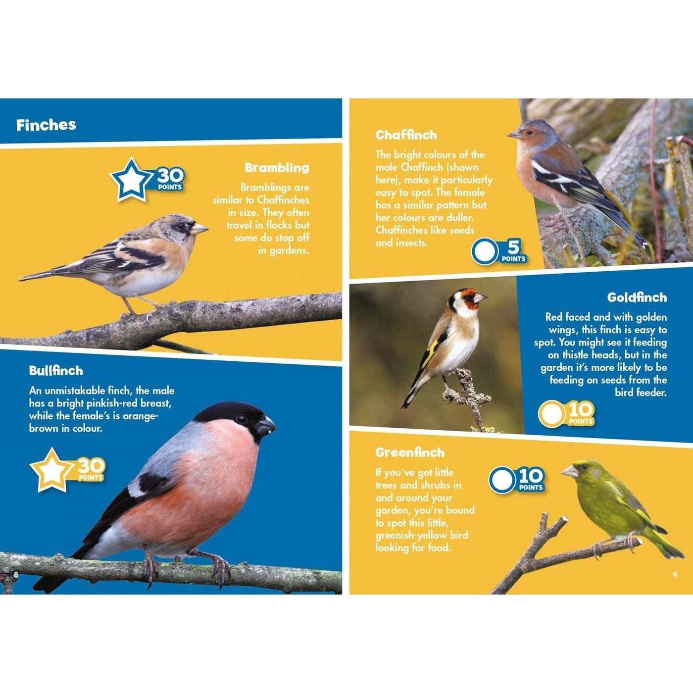 I-Spy Garden Birds: Spy It! Score It! (Collins Michelin I-Spy Guides)