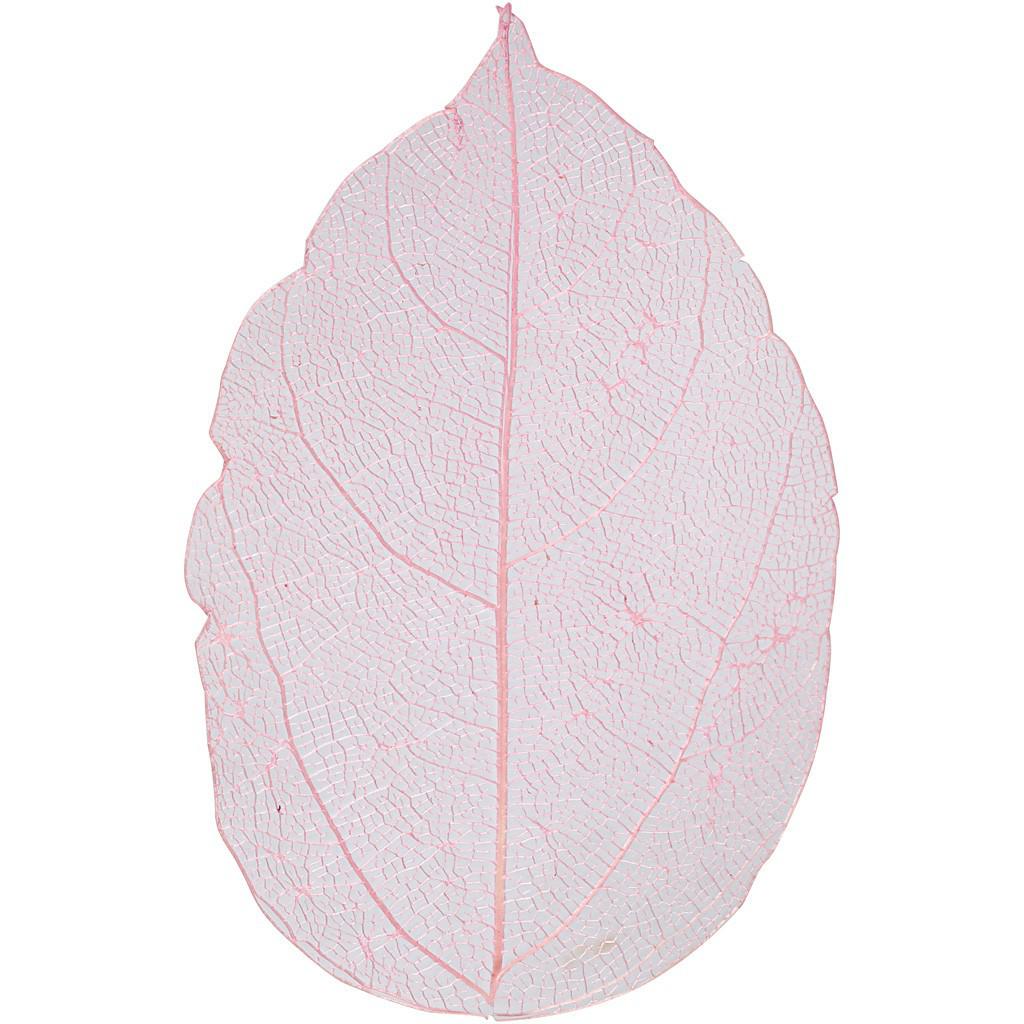 Skeleton Leaves 20 Pieces - Light Red