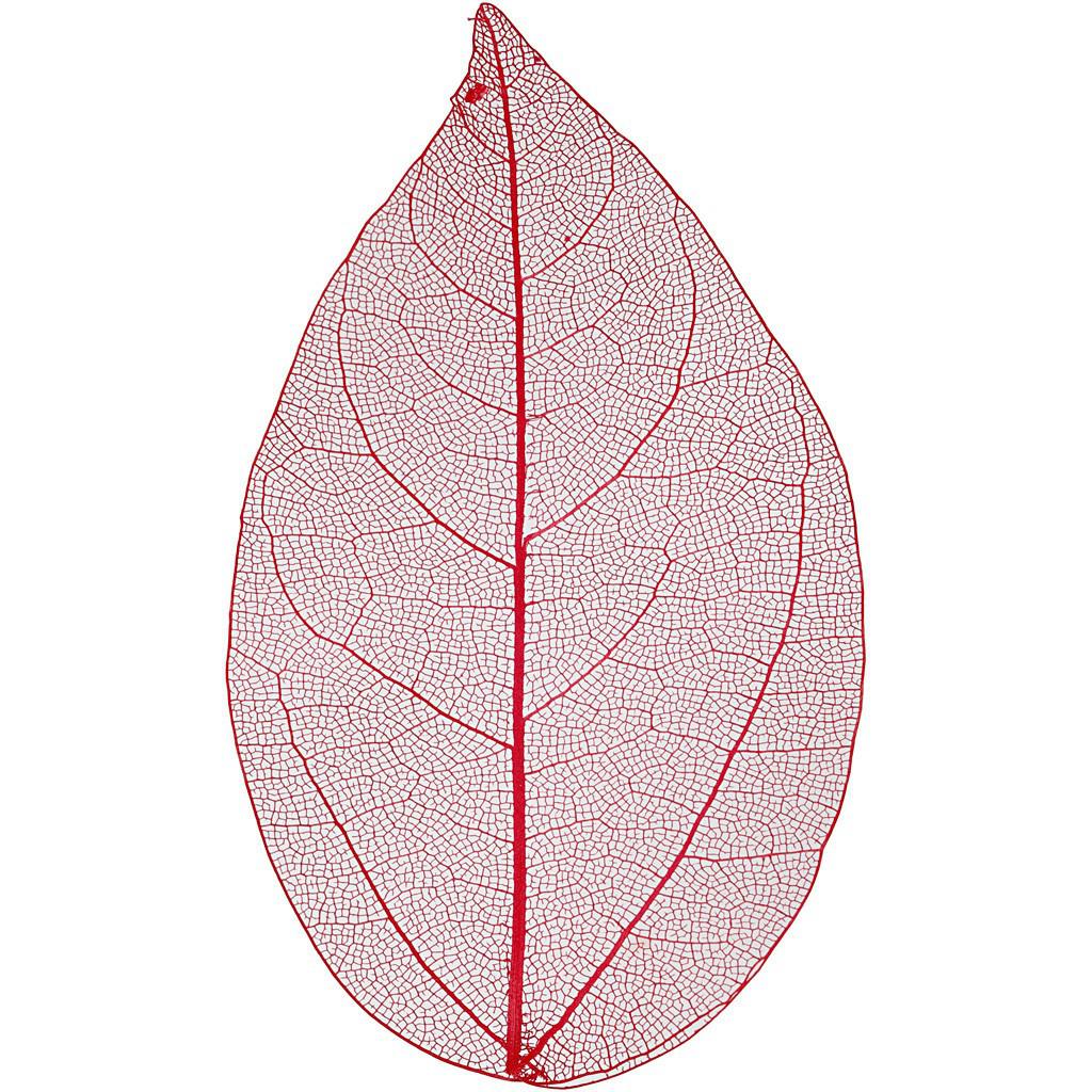 Skeleton Leaves 20 Pieces - Red