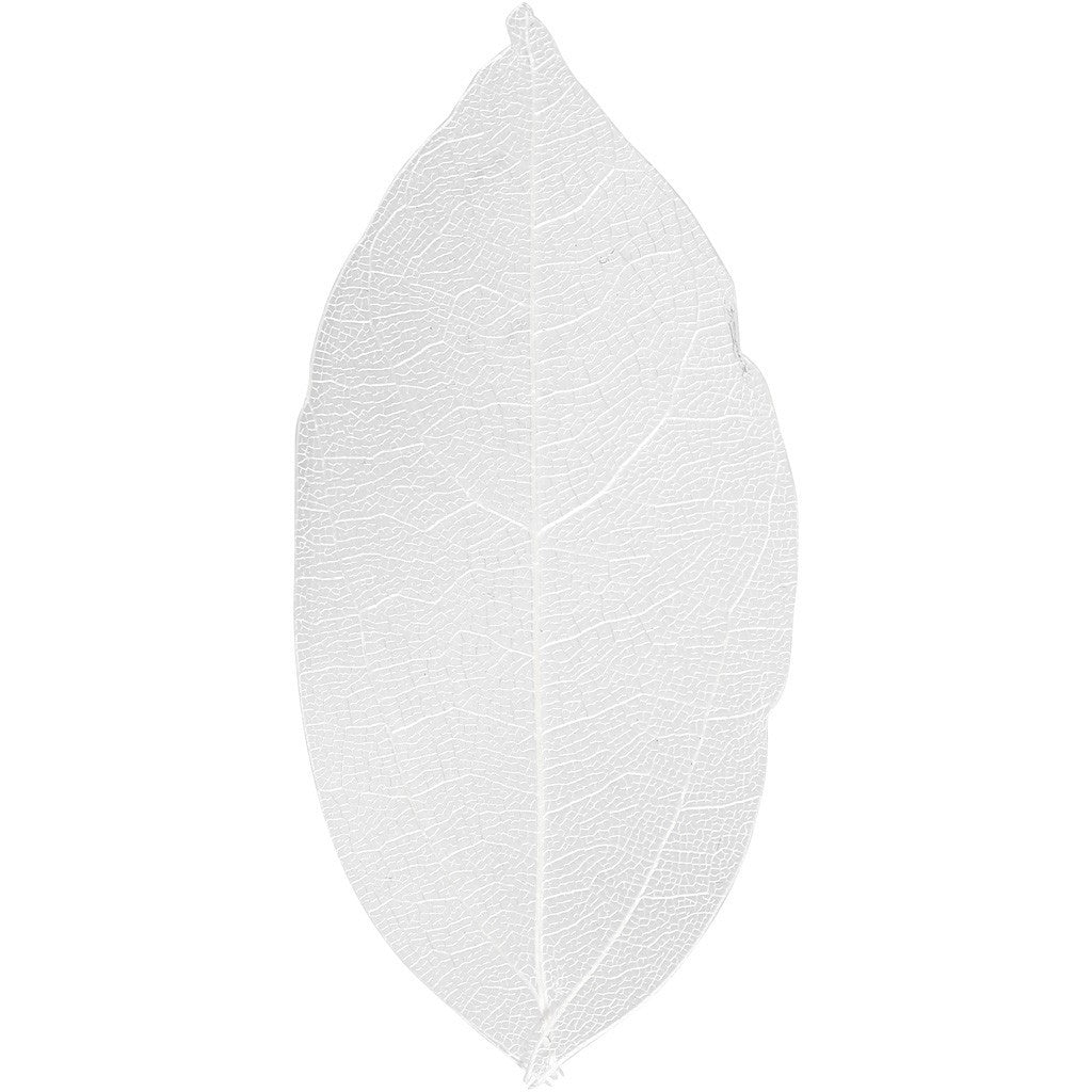 Skeleton Leaves 20 Pieces - White