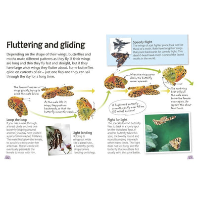 Butterflies and Moths: Explore Nature with Fun Facts and Activities