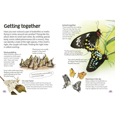 Butterflies and Moths: Explore Nature with Fun Facts and Activities