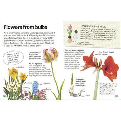 Flowers: Explore Nature with Fun Facts and Activities