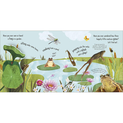 How Does A Frog Grow? - Royal Horticultural Society