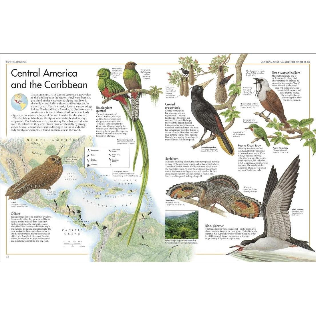 The Bird Atlas: A Pictorial Guide to the World's Birdlife
