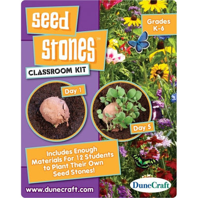 Seed Stones Classroom Kit by DuneCraft