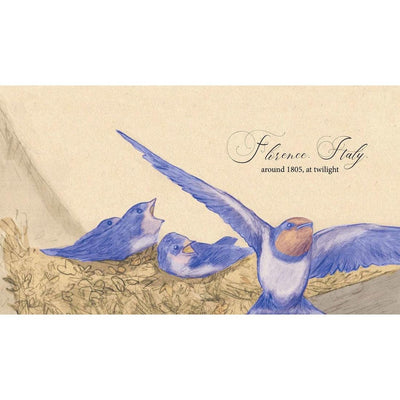 One Lone Swallow - Corinne Fenton & Owen Swan