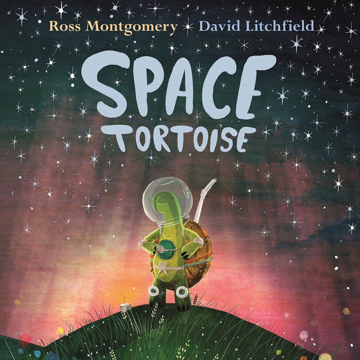 Space Tortoise - Ross Montgomery