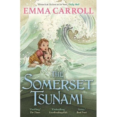 The Somerset Tsunami: 'The Queen Of Historical Fiction At Her Finest.' Guardian