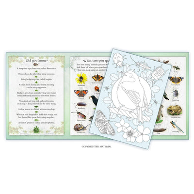 Garden Wildlife Activity Pack: Part Of The Activity Pack Nature Series For Children Aged 3 To 8 Years - Caz Buckingham
