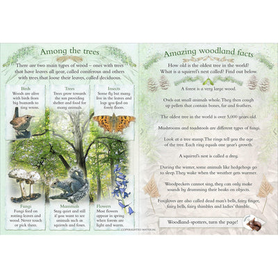 Let’S Look In Woodland Wildlife A Spot And Learn Book - Caz Buckingham & Andrea Pinnington