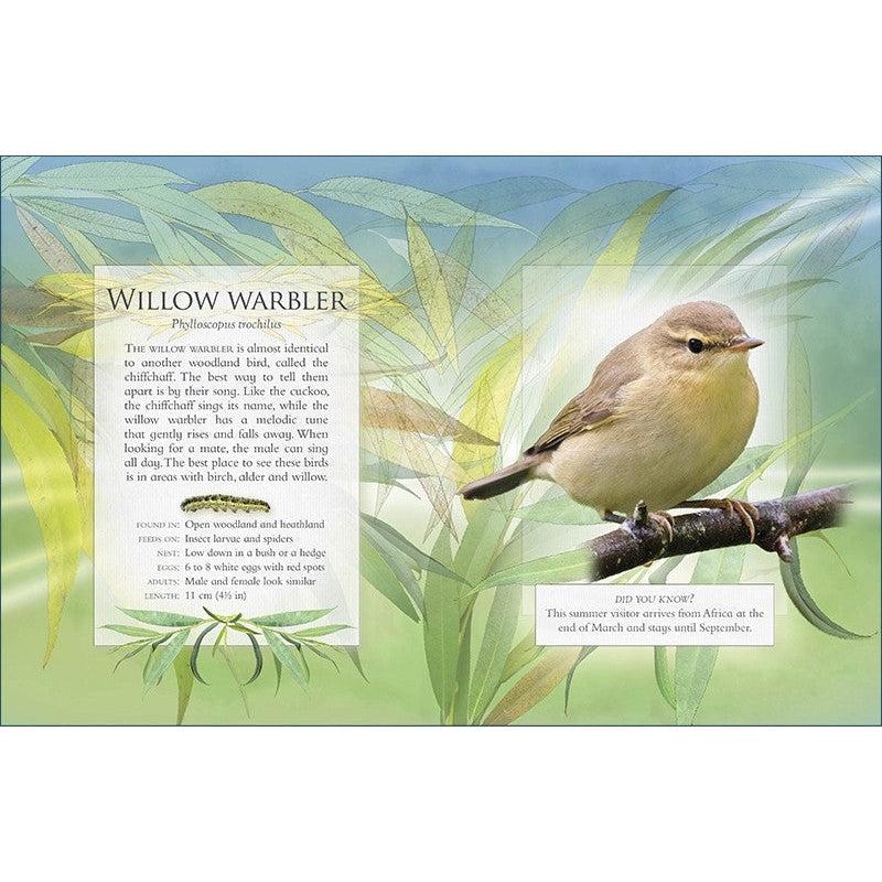 Little Book Of Woodland Bird Songs - Caz Buckingham & Andrea Pinnington