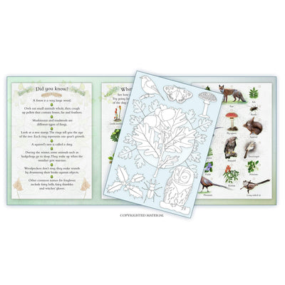 Woodland Wildlife Activity Pack: Part Of The Activity Pack Nature Series For Children Aged 3 To 8 Years - Andrea Pinnington