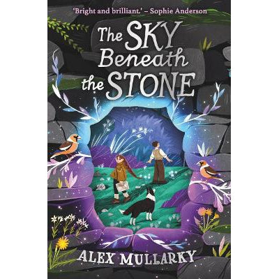 The Sky Beneath The Stone