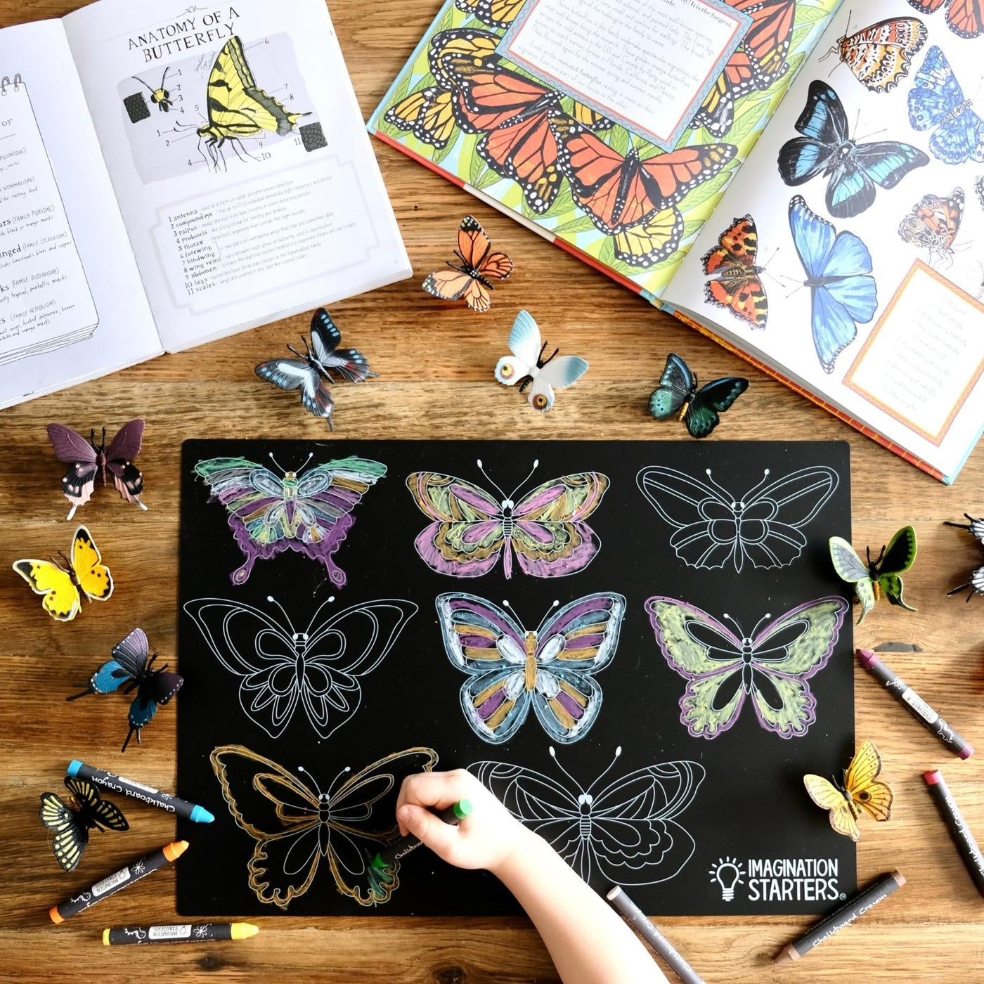 Reusable Chalkboard Placemat - Butterfly