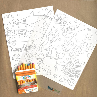 Trace and Erase Sea Life Colouring Sheets by Imagination Starters