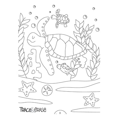 Trace and Erase Sea Life Colouring Sheets by Imagination Starters