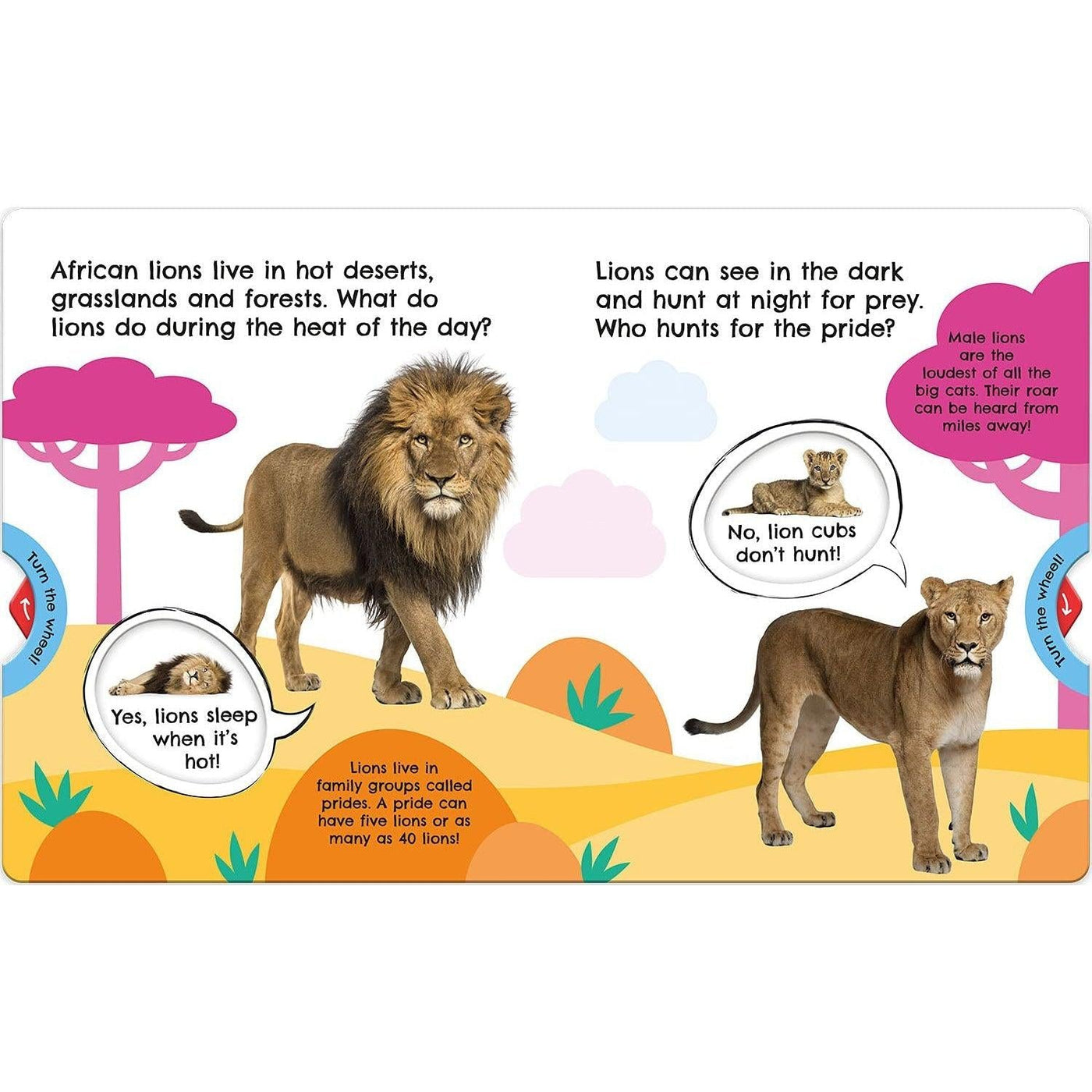 First Facts Big Cats (Move Turn Learn (Turn-The-Wheel Books)) - Georgie Taylor & Bethany Carr