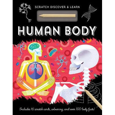 Human Body