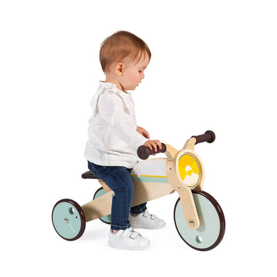 2-in-1 Rocker Tricycle
